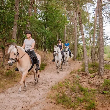 Samoza Holiday park Vierhouten