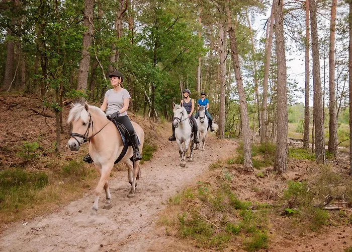 Samoza Holiday park Vierhouten